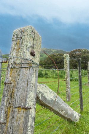 Rustic old  post and strainer  with fence leading away on New Zealand farm.
