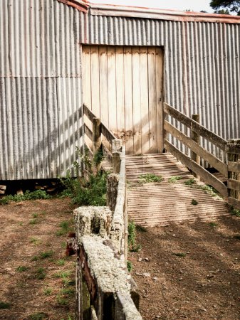 Photo for Wooden ramp and closed door  of shearing shed in rural New Zealand. - Royalty Free Image