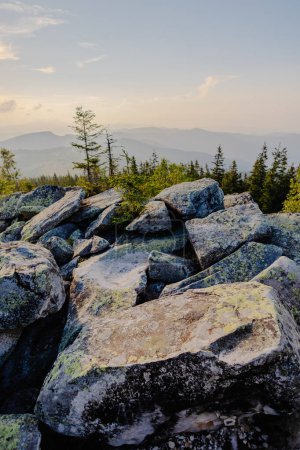 Un terreno rocoso con árboles dispersos, situado sobre un telón de fondo de imponentes montañas. El paisaje escarpado muestra la armonía de rocas, vegetación y picos distantes.