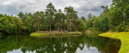 Foto de Estanque forestal Heidestein en Driebergen-Rijsenburg, Provincia Utrecht, Países Bajos - Imagen libre de derechos