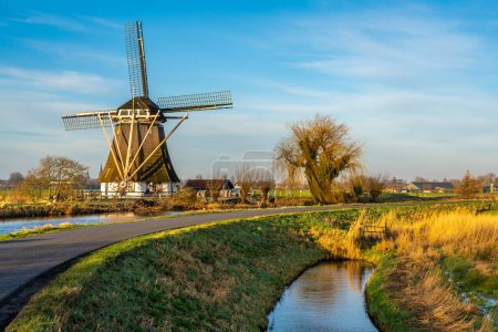 Hermoso paisaje holandés, camino con curvas a lo largo del molino de viento tradicional y el sauce viejo en un día soleado