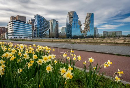 Skyline d'Amsterdam Zuidas au printemps