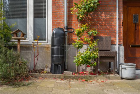 Photo for Rain barrel on house facade, collecting rainwater to reuse it in the garden - Royalty Free Image