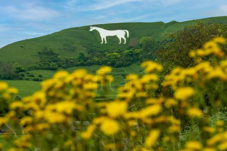 Westbury White Horse Hill Figur