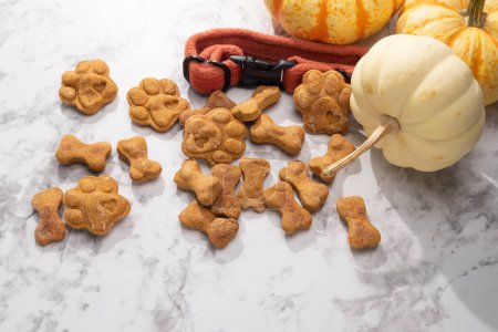 Una pila de golosinas de perro de calabaza al horno sobre un fondo de mármol, con calabazas y un collar de perro naranja quemado.