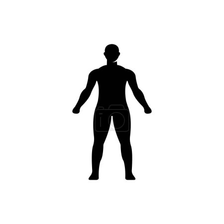 Téléchargez les illustrations : Silhouette du corps humain masculin Icône - en licence libre de droit