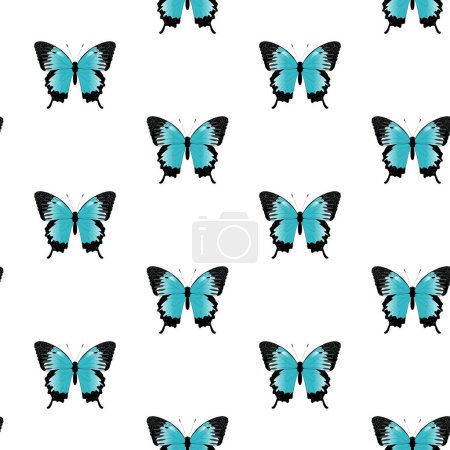 Illustration for Vector seamless pattern of butterflies. Vector butterfly papilio ulysses. Buttrerfly and insept on white background. Blue butterfly. - Royalty Free Image