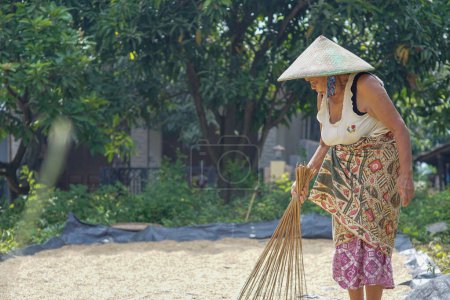 Photo for Asian old woman is drying the harvested rice seeds in the hot sun - Royalty Free Image