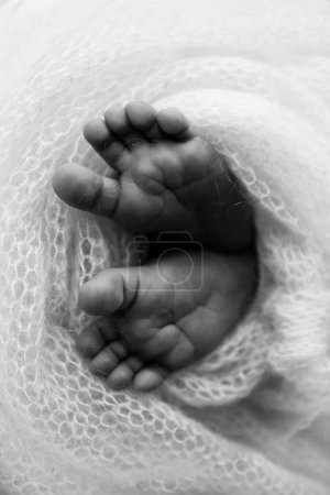Foto de El pequeño pie de un bebé recién nacido. Los pies suaves de un recién nacido en una manta de lana. Primer plano de los dedos de los pies, tacones y pies de un recién nacido. Corazón de punto en las piernas del bebé. Fotografía macro. Blanco y negro - Imagen libre de derechos