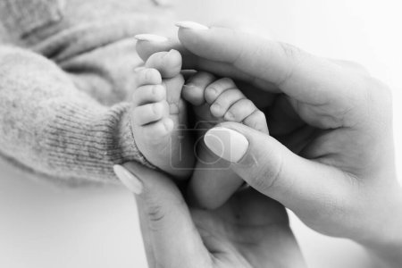 Foto de Las palmas del padre, la madre están sosteniendo el pie del bebé recién nacido sobre un fondo blanco. Los pies del recién nacido en las palmas de las manos de los padres. Fotografía de un niño dedos de los pies, tacones y pies - Imagen libre de derechos