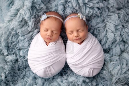 Photo for Tiny newborn twin girls in white cocoons on a blue background. A newborn twin sleeps next to his sister. Newborn twin girls in white headbands with a white and blue flowers. - Royalty Free Image