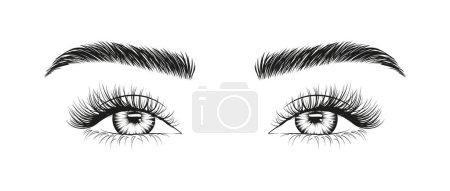 Woman's sexy makeup look with perfectly shaped eyebrows and lashes bottom view. Vector illustration for business visit card, typograph, print. Perfect salon look. Brows and lashes lamination.