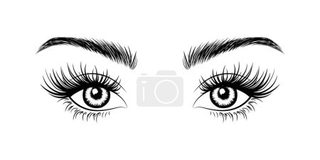 Photo for Woman's sexy makeup look with perfectly shaped eyebrows and lashes. Vector illustration for business visit card, typograph, print, highlights cover. Perfect salon look. Brows and lashes lamination. - Royalty Free Image