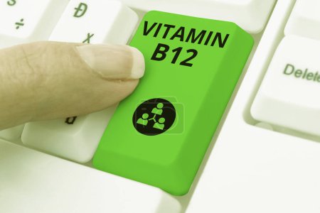 Téléchargez les photos : Légende du texte présentant la vitamine B12, Vitrine commerciale Groupe de substances essentielles au fonctionnement de certaines enzymes - en image libre de droit