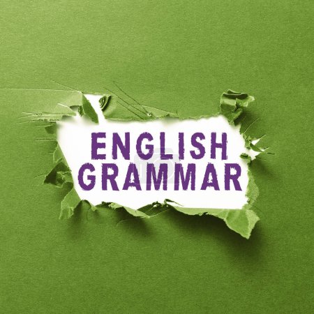 Photo for Text caption presenting English Grammar, Business approach courses cover all levels of speaking and writing in english - Royalty Free Image