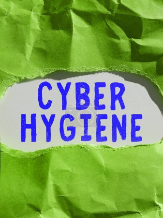 Téléchargez les photos : Légende textuelle présentant Cyber Hygiene, Business concept steps that computer users take to improve their cyber security - en image libre de droit