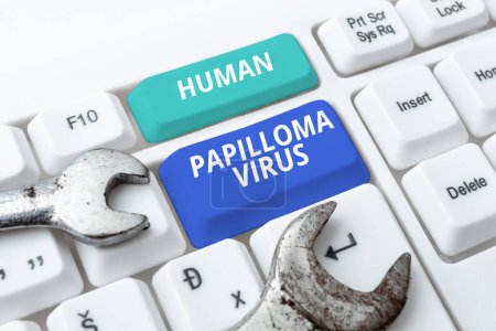 Photo for Writing displaying text Human Papilloma Virus, Word for most common sexually transmitted infection disease - Royalty Free Image