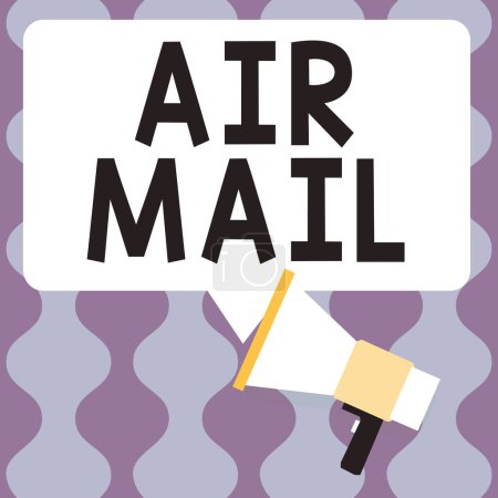 Foto de Exhibición conceptual Correo aéreo, concepto de negocio las bolsas de letras y paquetes que se transportan por avión - Imagen libre de derechos