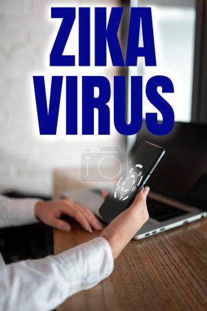 Photo for Conceptual caption Zika Virus, Business overview caused by a virus transmitted primarily by Aedes mosquitoes - Royalty Free Image