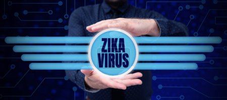 Photo for Text sign showing Zika Virus, Internet Concept caused by a virus transmitted primarily by Aedes mosquitoes - Royalty Free Image