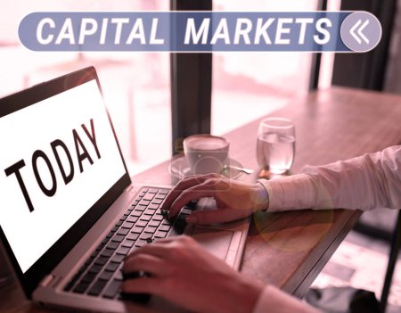 Téléchargez les photos : Text caption presenting Capital Markets, Business overview Allow businesses to raise funds by providing market security - en image libre de droit