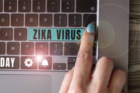 Photo for Text sign showing Zika Virus, Concept meaning caused by a virus transmitted primarily by Aedes mosquitoes - Royalty Free Image