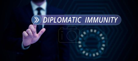 Photo for Text sign showing Diplomatic Immunity, Conceptual photo law that gives foreign diplomats special rights in the country they are working - Royalty Free Image