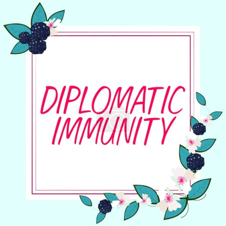 Téléchargez les photos : Inspiration du signe Immunité diplomatique, concept qui signifie loi accordant aux diplomates étrangers des droits spéciaux dans le pays où ils travaillent - en image libre de droit