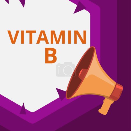Photo for Sign displaying Vitamin B, Concept meaning Nutrient that helps keep the body nerve and blood cells healthy - Royalty Free Image
