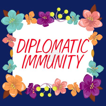 Photo for Text showing inspiration Diplomatic Immunity, Business showcase law that gives foreign diplomats special rights in the country they are working - Royalty Free Image