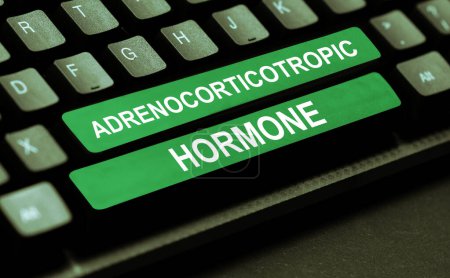 Foto de Leyenda conceptual Hormona adrenocorticotrópica, hormona de la idea de negocio secretada por la corteza de la glándula pituitaria - Imagen libre de derechos