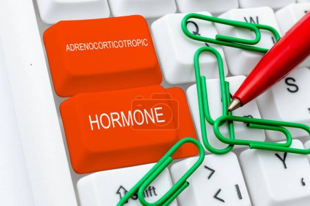 Foto de Señal que muestra la hormona adrenocorticotrópica, concepto que significa hormona secretada por la corteza de la glándula pituitaria - Imagen libre de derechos