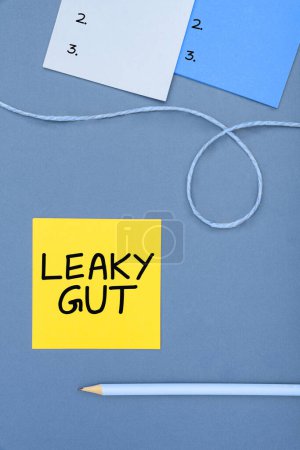 Téléchargez les photos : Text showing inspiration Leaky Gut, Business showcase A condition in which the lining of small intestine is damaged - en image libre de droit