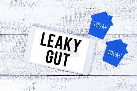 Photo for Inspiration showing sign Leaky Gut, Business showcase A condition in which the lining of small intestine is damaged - Royalty Free Image