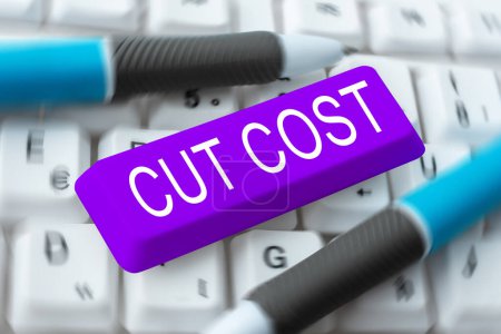 Téléchargez les photos : Text sign showing Cut Cost, Business overview Measures implemented to reduced expenses and improved profit - en image libre de droit