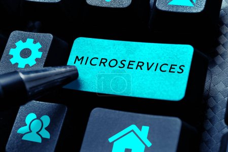 Hand writing sign Microservices, Business overview Software development technique Building single function module