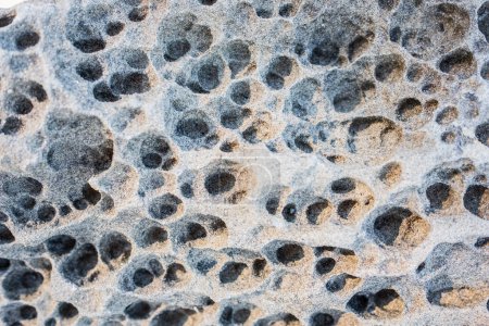 Téléchargez les photos : Honeycomb weathered and eroded sandstone rock sea cliffs at the beach. It is believed as salty water dries out, salt crystals form in the rock causing local crumbling. Nobody - en image libre de droit