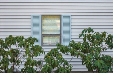 Téléchargez les photos : Fenêtre résidentielle moderne avec volets et arbres dans un jardin. Maison de cadre de fenêtre en verre extérieur sur mur blanc. Personne, photo de rue. Jardin avec des plantes vertes à côté d'une maison - en image libre de droit