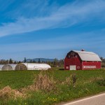 Agriculture Landscape With Old Red Barn and blue sky. Countryside landscape. Farm, red barn. Rural scenery, farmland in Canada. Travel photo, nobody, copyspace for text