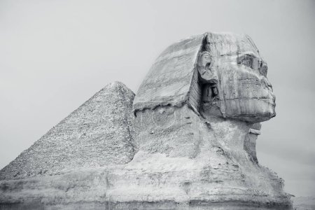 Photo for The Sphinx and Pyramid Cairo,Egypt in black and white photo. The great sphinx of Giza near the great pyramid, the oldest of the seven wonders of the world Unesco world heritage site - Royalty Free Image