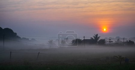 Landscape with sunrise in rural farmland in India. Foggy sunrise at Goa Plantations. Early morning, light play with fog and trees. Traditional Indian village house at beautiful sunrise. Travel photo