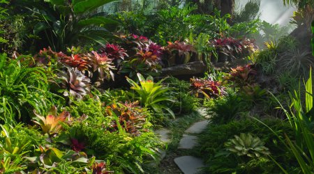 A beautiful green house with different types of colorful leafy plants. Botanic Garden. Indoor Botanical garden. Tropical plants.