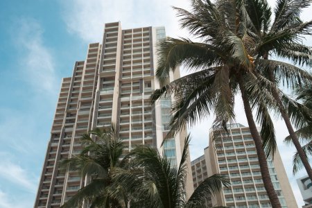 Palm tree with modern skyscraper and clouds in the sky. Coconut tree and condominium building. Coconut palm trees, Hotel, beautiful tropical background, Vacation holiday concept.