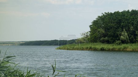 riverbank