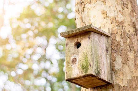 Photo for Wooden brown birdhouse on a trunk of a tree in the park. A house for the birds. Bird feeder. Copy space - Royalty Free Image