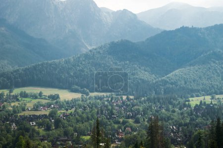 Foto de Tatra Mountains. View of the mountains covered with forest. - Imagen libre de derechos