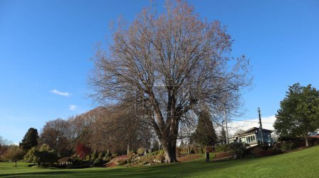 Peace Arch Park, situé à 40 km au sud de Vancouver au poste frontalier Douglas, sert de lieu pittoresque où les familles du Canada et des États-Unis se réunissent pour s'unir. 