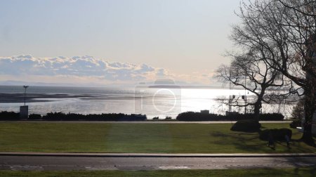 Peace Arch Park, located 40 km south of Vancouver at the Douglas Border Crossing, serves as a scenic venue where families from Canada and the U.S. gather to unite. 