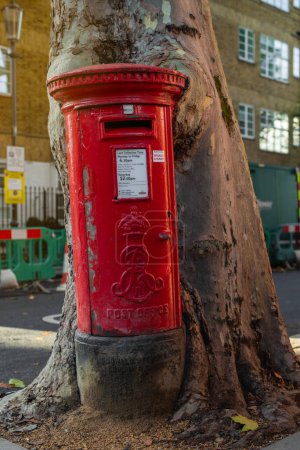 Téléchargez les photos : A tree grows into a traditional red post box in Kensington on a sunny autumn day. - en image libre de droit