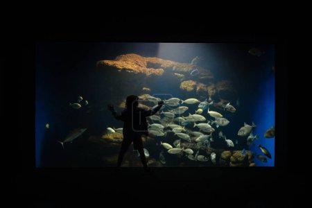 Téléchargez les photos : Silhouette arrière d'un enfant méconnaissable debout près d'un grand aquarium et explorant des poissons et des coraux sous-marins - en image libre de droit